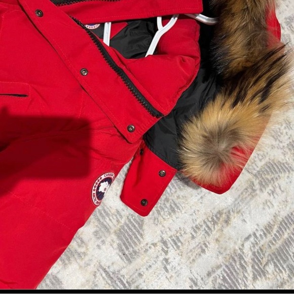 Canada goose, in a good condition. - Picture 2 of 4